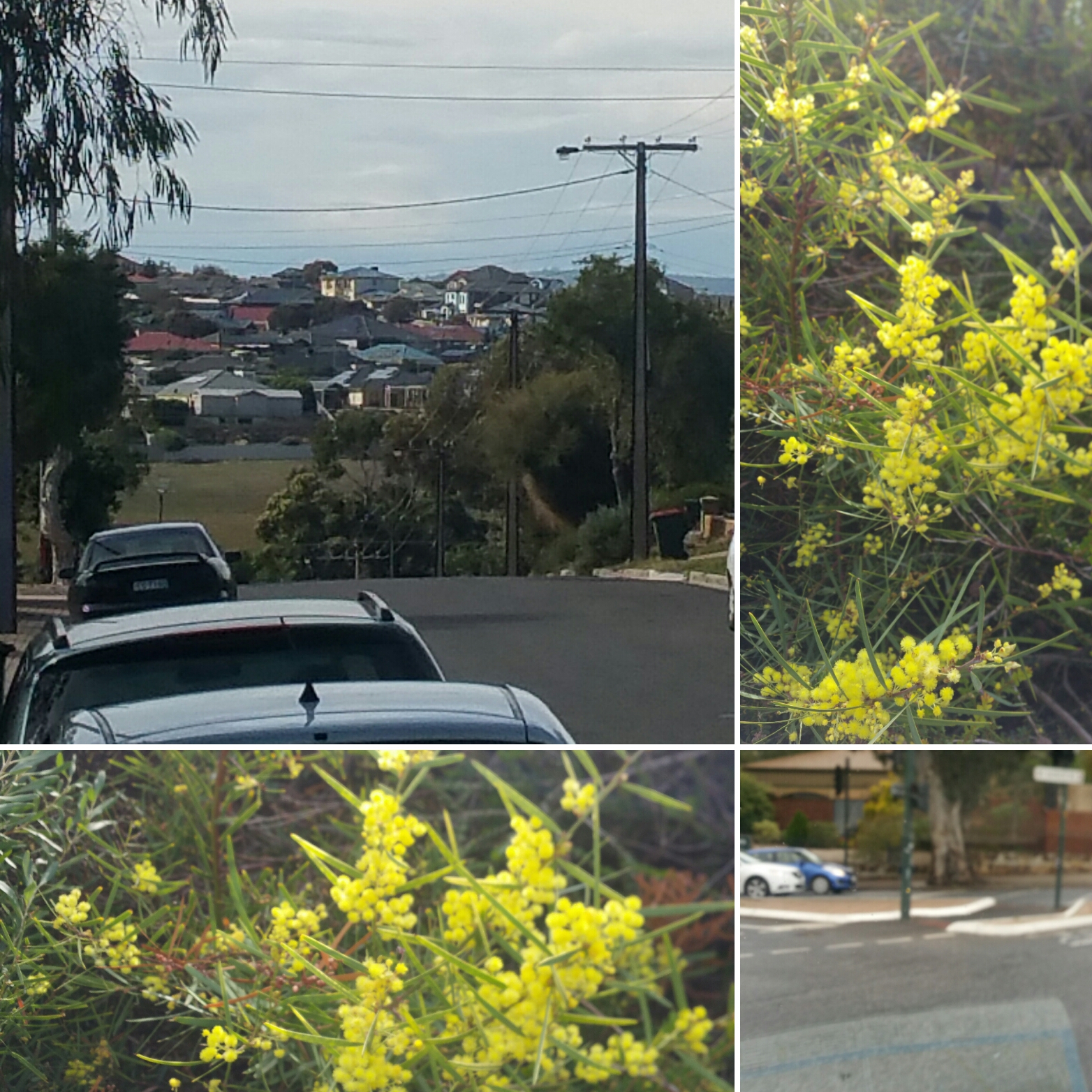 Moving house - Southern suburbs Adelaide